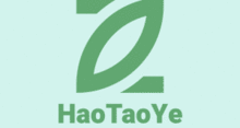 Shandong Heze HaoTaoYe Emergency Generator Technology Factory